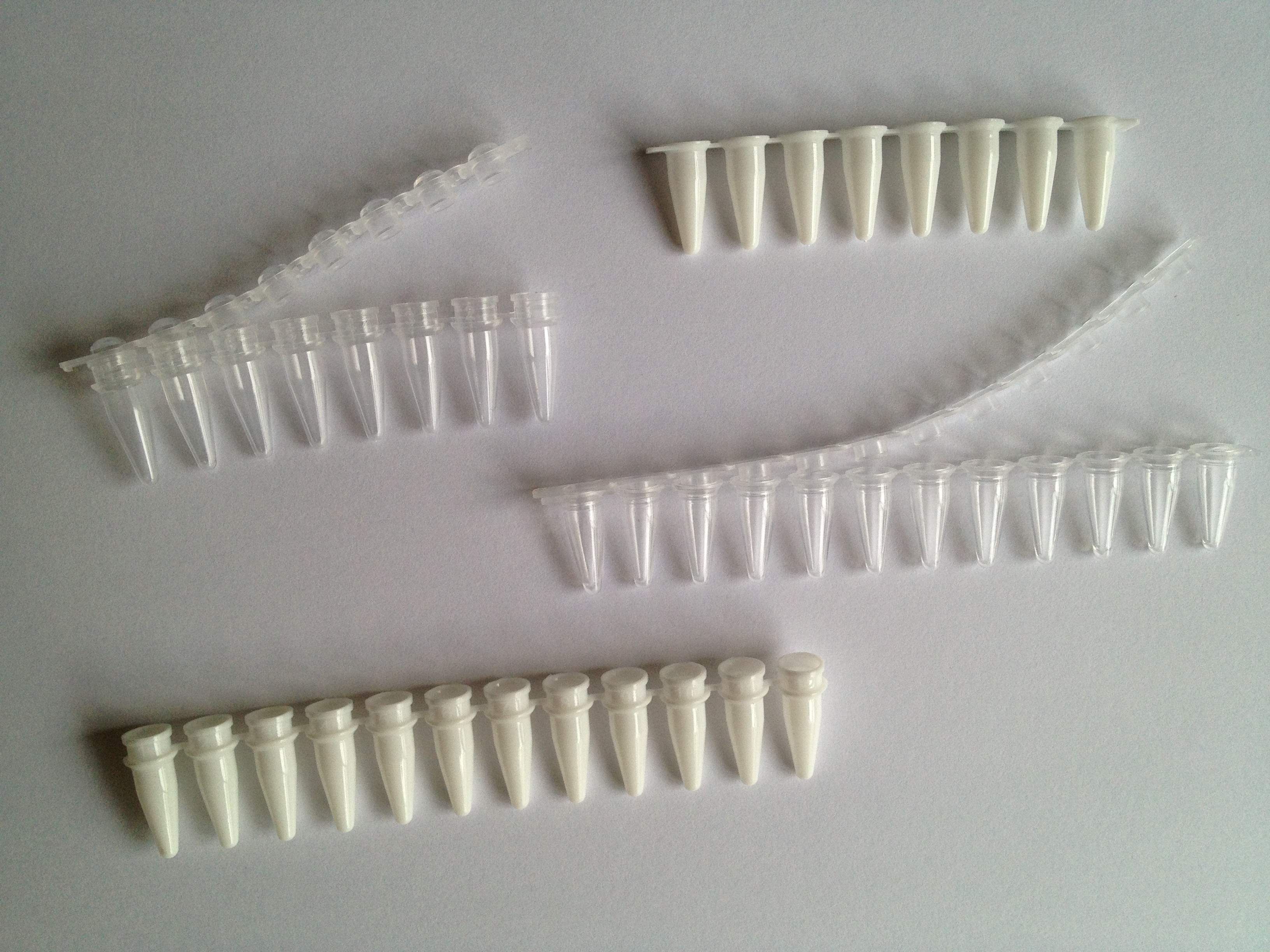PCR tube strip